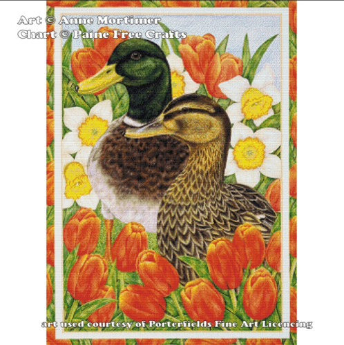 (image for) Ducks and Tulips